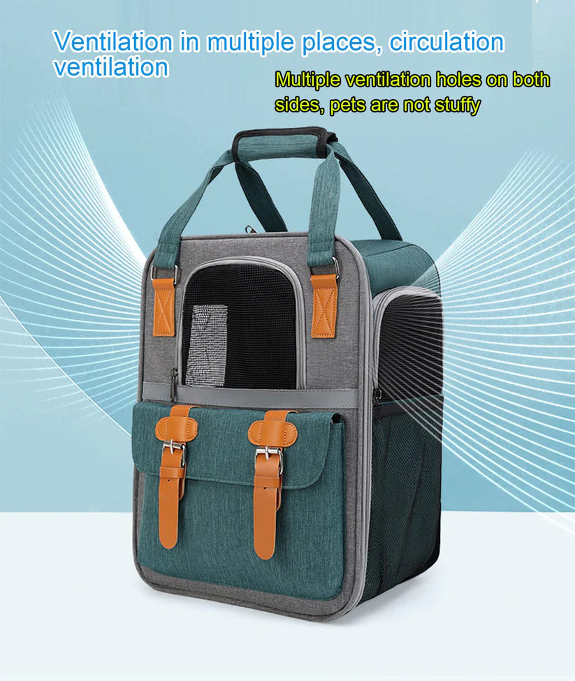 Kit de Viaje en Auto para Mascotas Perro o Gato talla chica | Arnés de Seguridad y Correa, Bebedero y comedero Portátil, Transportadora, Linterna Collar y Cama para Mascotas