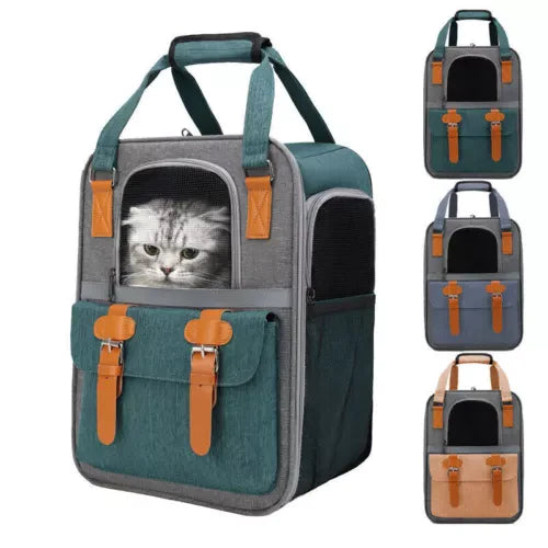 Kit de Viaje en Auto para Mascotas Perro o Gato talla chica | Arnés de Seguridad y Correa, Bebedero y comedero Portátil, Transportadora, Linterna Collar y Cama para Mascotas