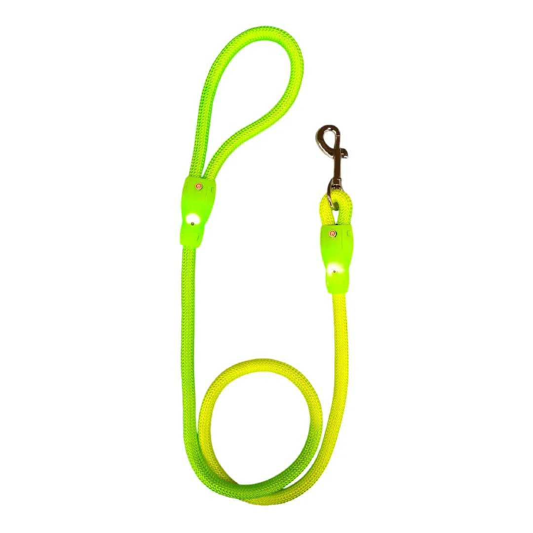 Kit de Paseo Nocturno Luminoso LED para Perros talla chico y mediano | Seguridad y Visibilidad en la Oscuridad