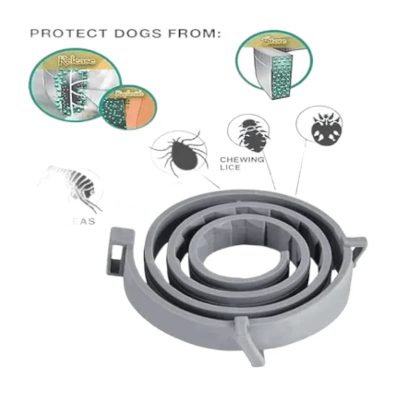 Kit de Baño Completo para Gatos | Bolsa de Baño, Shampoo, Cepillos, Toallitas, Collar Antipulgas y Más | Higiene y Cuidado Felino