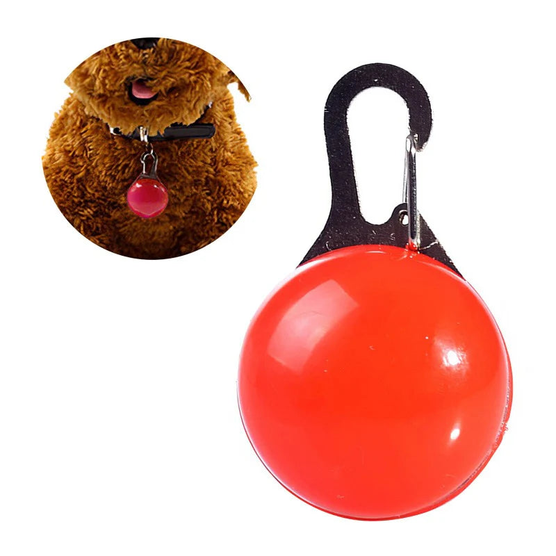 Kit de Paseo para Perro Grande | Correa Trenzada con Collar, Dispensador de Bolsas con Linterna, LED Clip, Agua y Alimento, Higiene y Seguridad