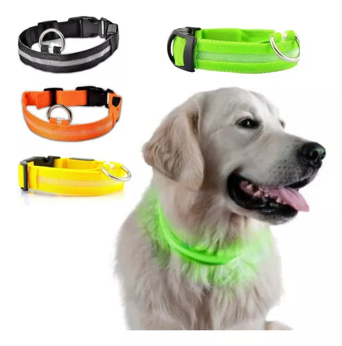Kit de Paseo Nocturno Luminoso LED para Perros talla chico y mediano | Seguridad y Visibilidad en la Oscuridad