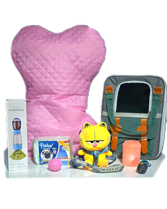 Kit de Viaje en Auto para Mascotas Perro o Gato talla chica | Arnés de Seguridad y Correa, Bebedero  y comedero Portátil, Transportadora, Linterna Collar y Cama para Mascotas